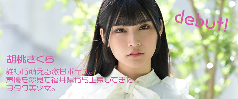 胡桃さくら(胡桃樱，Kurumi-Sakura)品番作品MOGI-013介绍及预览