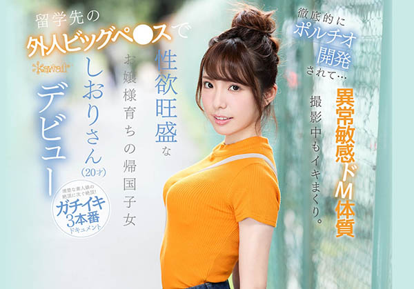 芦那しおり(芦那诗织)品番作品IPX-376介绍及预览