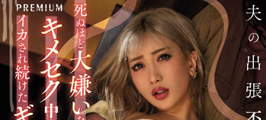 AIKA品番作品PRED-405介绍及预览