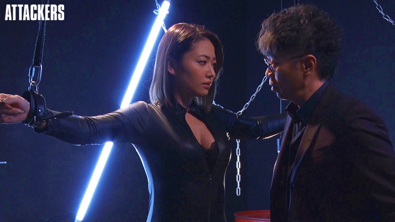 女搜查官系列经典作品推荐及预览