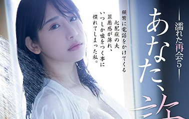 西野絵美(西野绘美)最新品番作品ADN-521介绍及预览-三图集