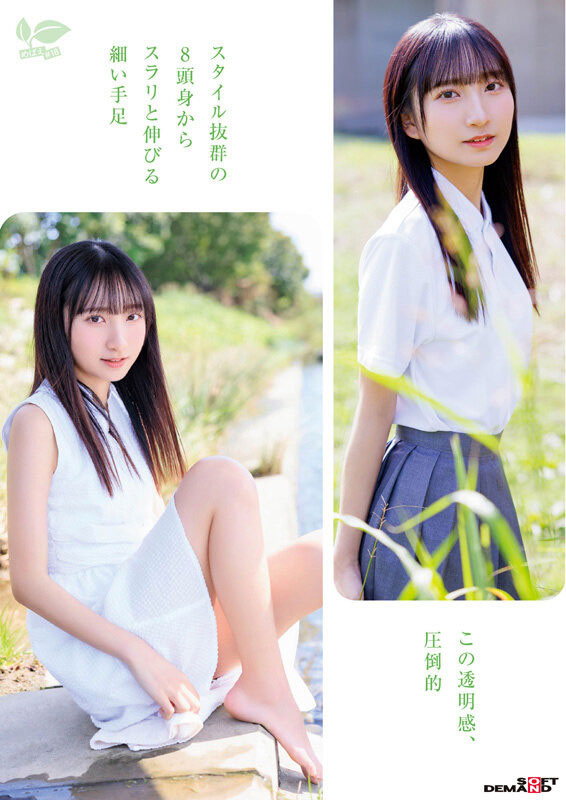 皆川らん(皆川兰)最新作品SDAB-327介绍及封面预览