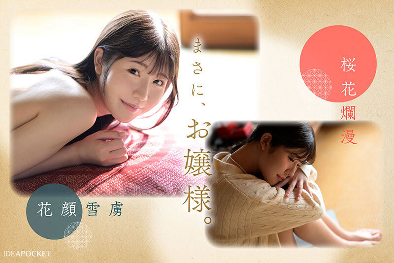 坂井美桜(坂井美樱)最新作品IPZZ-731介绍及封面预览